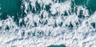 Aufstellungen Teilnehmer Al-Nassr FC Gegen Al Qadisiyah – Wer Siegt?