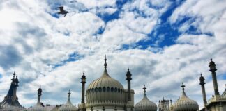 Aufstellungen: Teilnehmer Brighton & Hove Albion Gegen Manchester City – Wer Setzt Sich Durch?