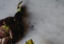 Aufstellungen Teilnehmer: Wer Gewinnt Atalanta Bergamo Gegen Bayer Leverkusen?