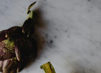 Aufstellungen Teilnehmer: Wer Gewinnt Atalanta Bergamo Gegen Bayer Leverkusen?