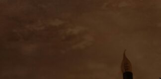 Aufstellungen Teilnehmer FC Chelsea Gegen Crystal Palace: Wer Trifft?