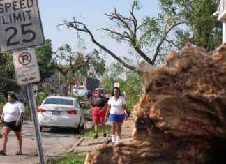 Tod und Verwüstung: Tornados fordern viele Opfer in Kentucky und Missouri tod-und-verwstung-tornados-fordern-viele-opfer-in-kentucky-und-missouri