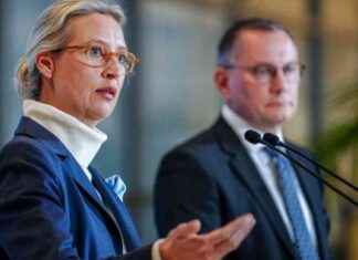 Verfassungsschutz und AfD: Ist ein Verbotsverfahren zweifelhaft? verfassungsschutz-und-afd-st-ein-verbotsverfahren-zweifelhaft